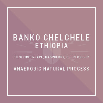 Ethiopia Banko Chelchele