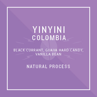 Colombia Yinyini FTO