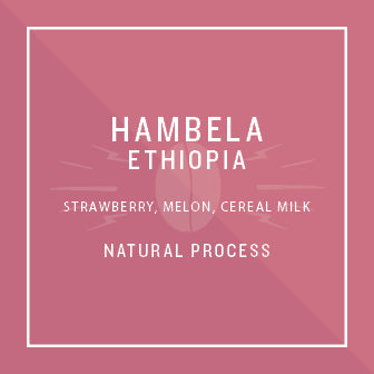 Ethiopia Hambela