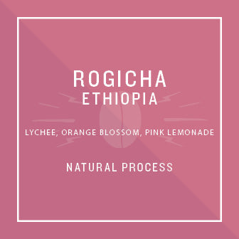 Ethiopia Rogicha
