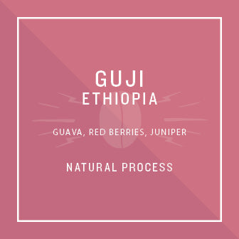 Ethiopia Guji