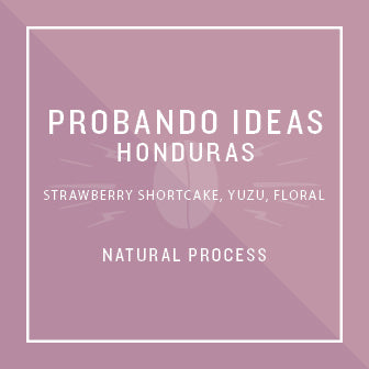 Honduras Probando Ideas