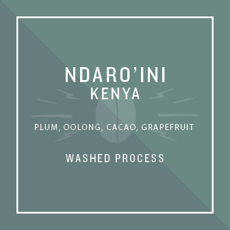 Kenya Ndaro'ini