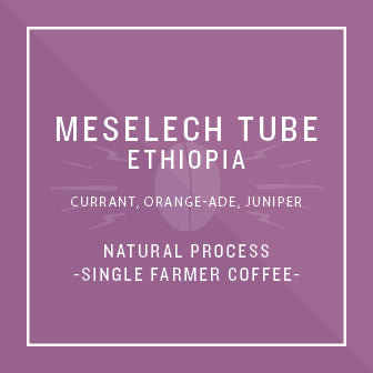 Ethiopia Meselech Tube